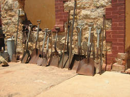 A row of shovels
