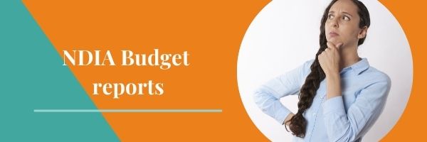Banner with the words Ndia Budget report and an image of woman holding her chin wondering