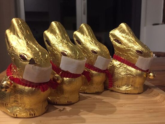 row of chocolate Easter bunnies wearing masks