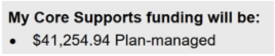 screenshot from a Plan with the words: My Core supports funding will be  $41,252.94