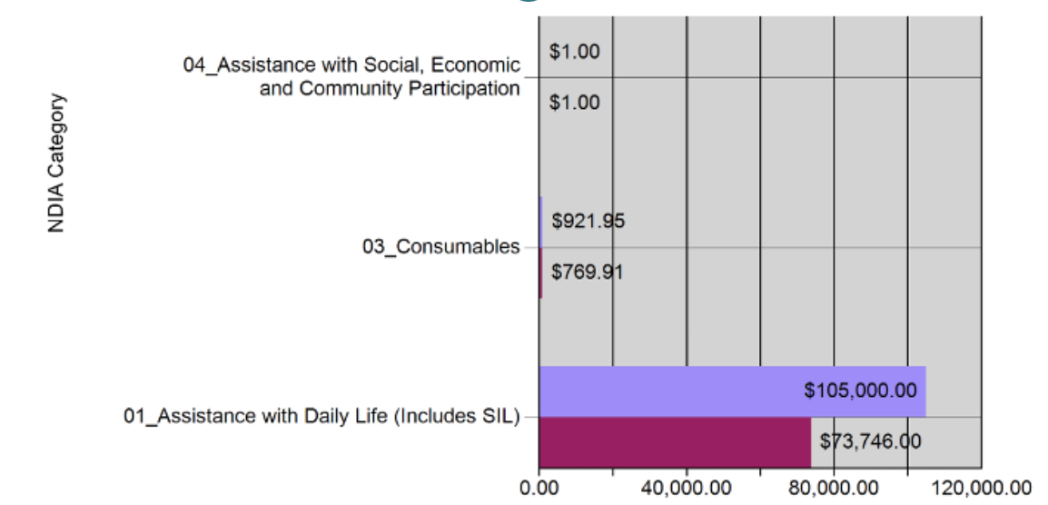 screenshot from a futures in sight budget report with 3 bar charts: 04 assistance wiht social, econnmic and Community Participation $1; 03 Consumables $1; 01 Assistance wiht Daily Life (includes SIL) showing $105,000 orginal funding and $73,746 remaining